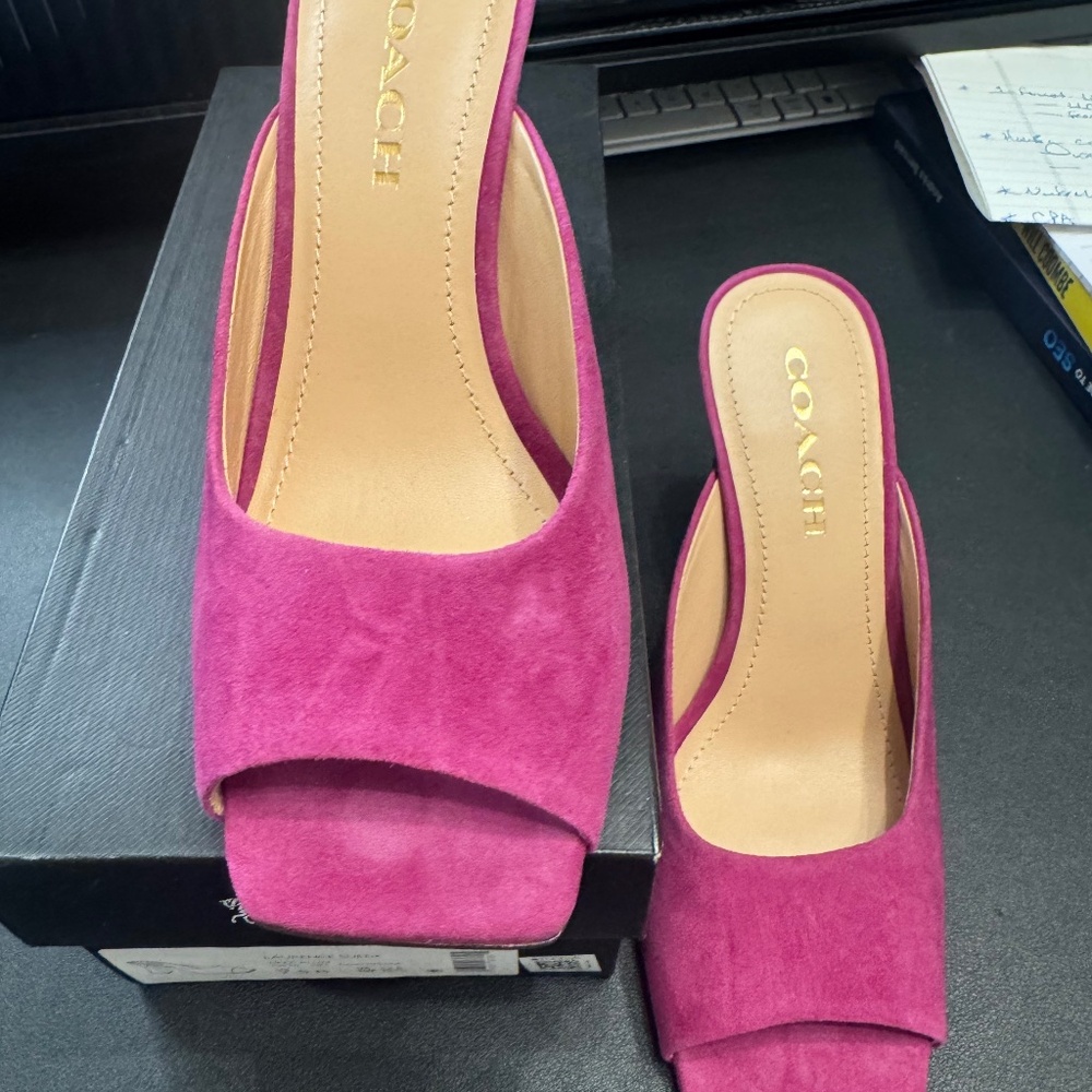 Coach Laurence Suede Sandal Mule, Plum